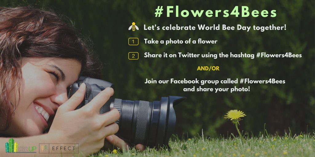 Join our campaign, and raise awareness on the importance of bees