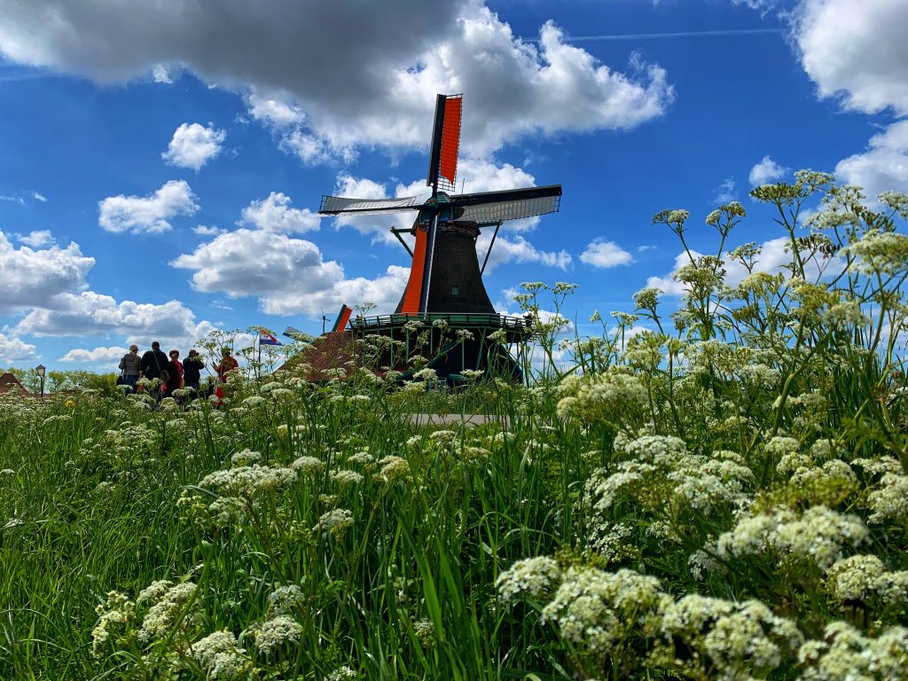 The link between context and scheme design in agri-environmental schemes: the successful case of the Netherlands